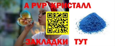 стафф Камышлов