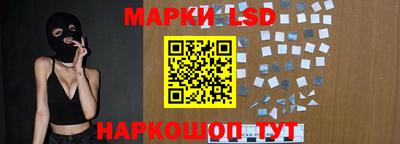 стафф Камышлов