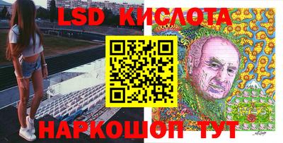 стафф Камышлов