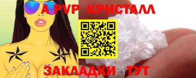 стафф Камышлов