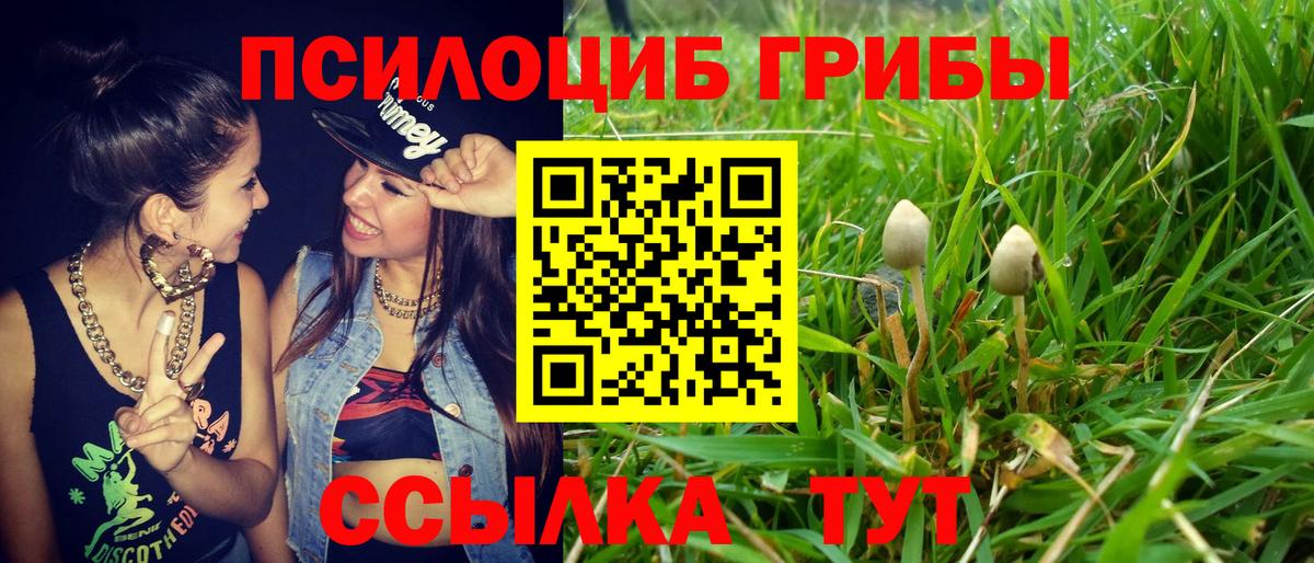 Галлюциногенные грибы мицелий  Вход с VPN  Ликино-Дулёво 
